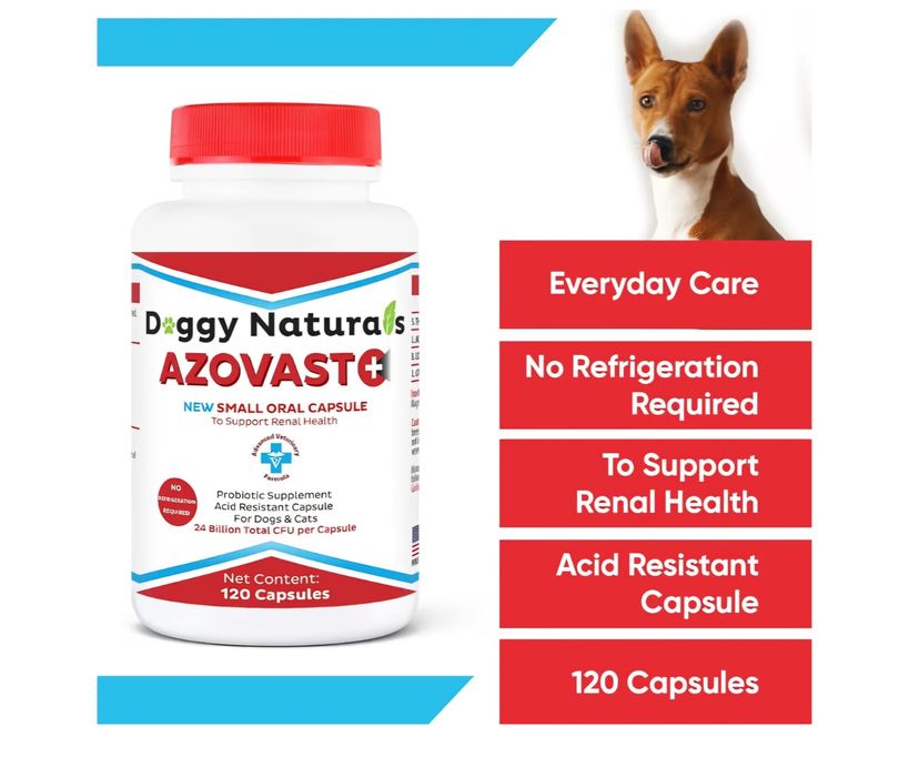 Medicamente suplimente pentru catei