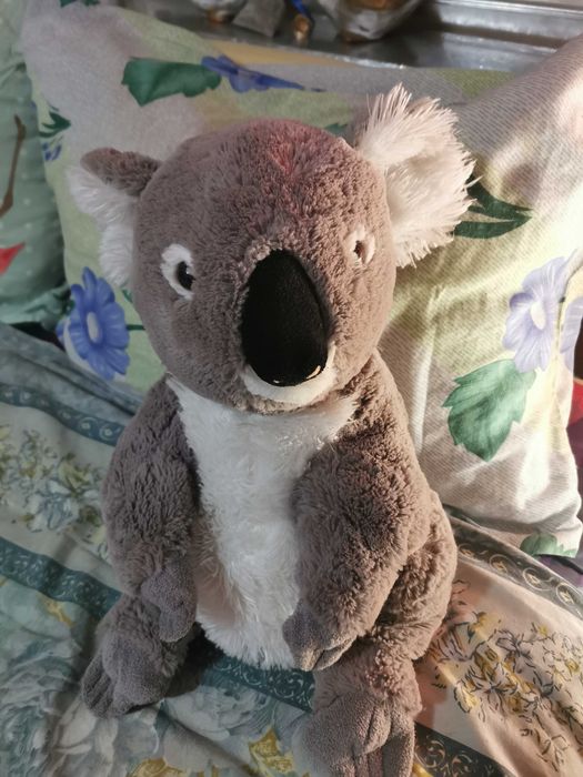 Плюшена играчка коала