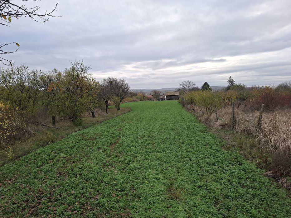 Teren intravilan 3240mp + casa din cărămidă, Com Vernesti sat Zoresti