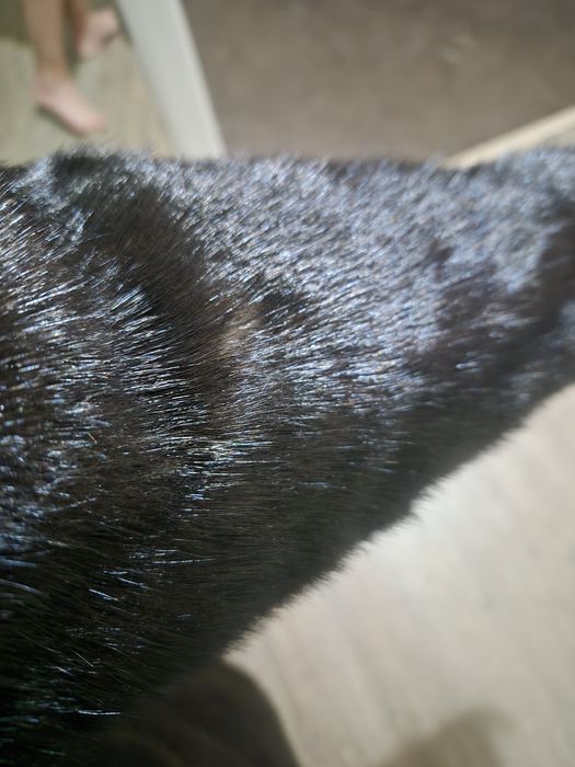 Продам норковую шубу