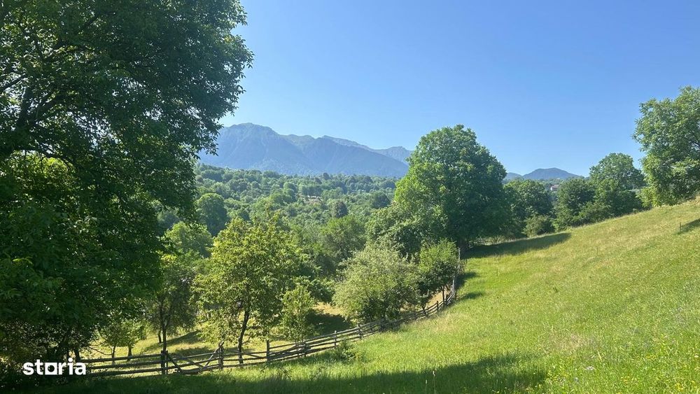 Teren Sohodol Vedere catre M-tii Bucegi