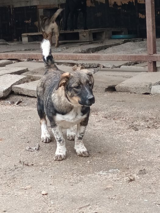 Подарява се бебе Лари