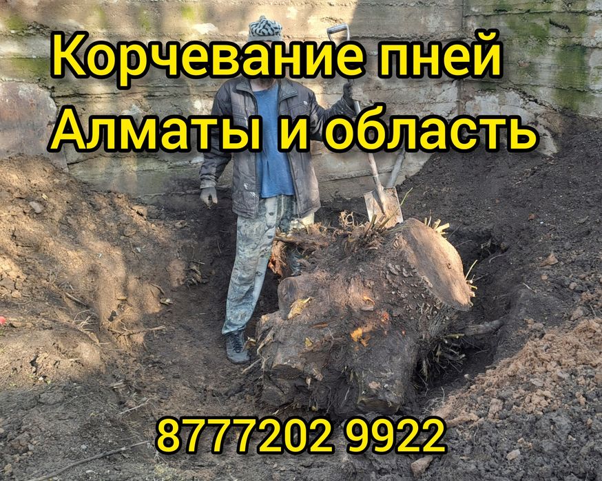 Корчевание пней. Стрижка живой изгороди, можжевельников, туй..