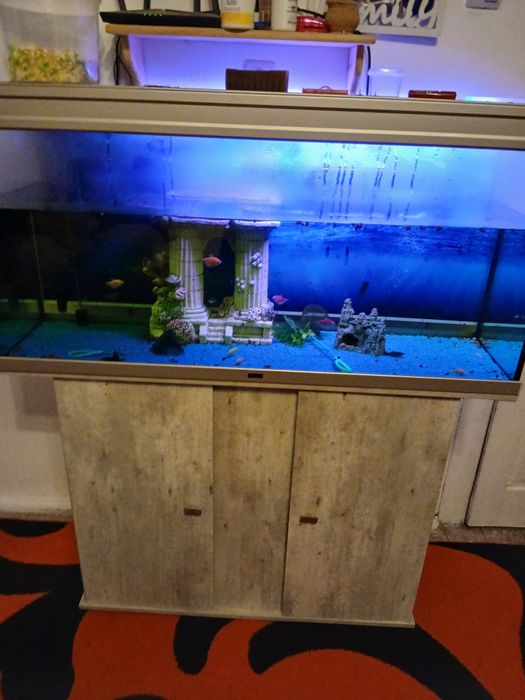 Vând acvarium cu totul