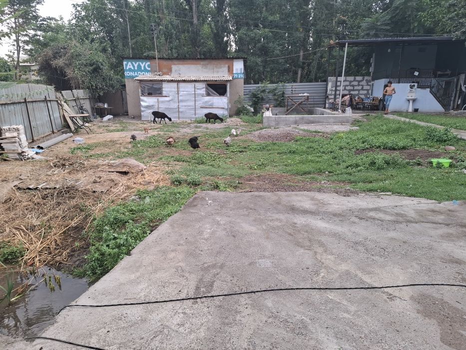 Продам своя половину дача г..ЧИРЧИКЕ 3,5 сотка