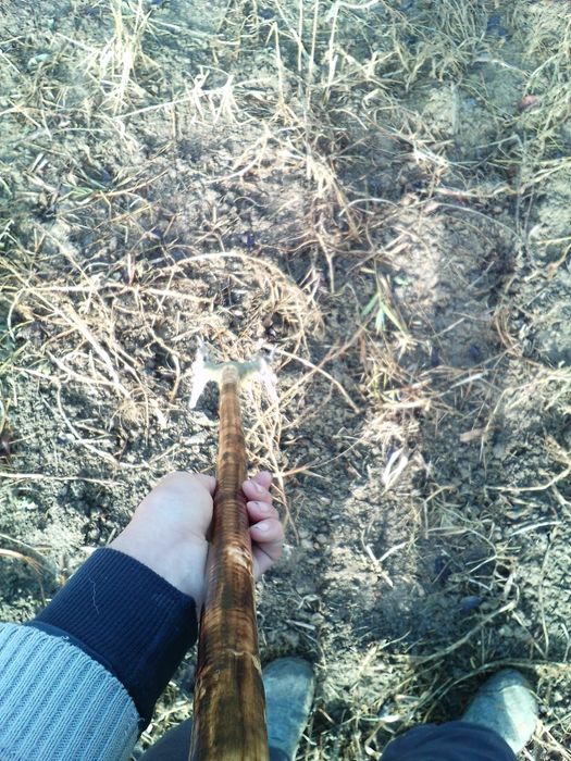 Baston ciomag bâtă toiag