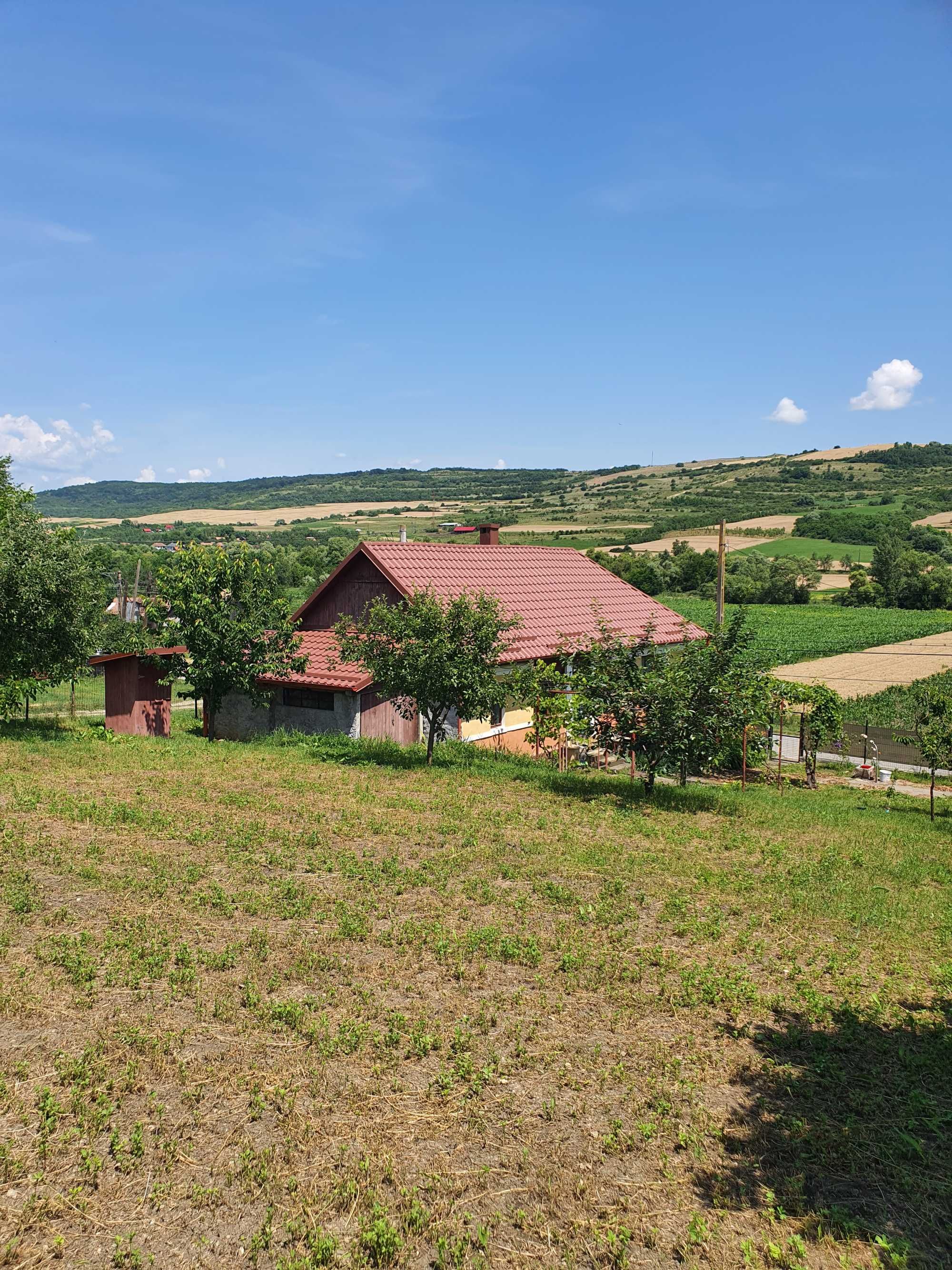 casa cu gradina si terenuri in localiatea Dabaca