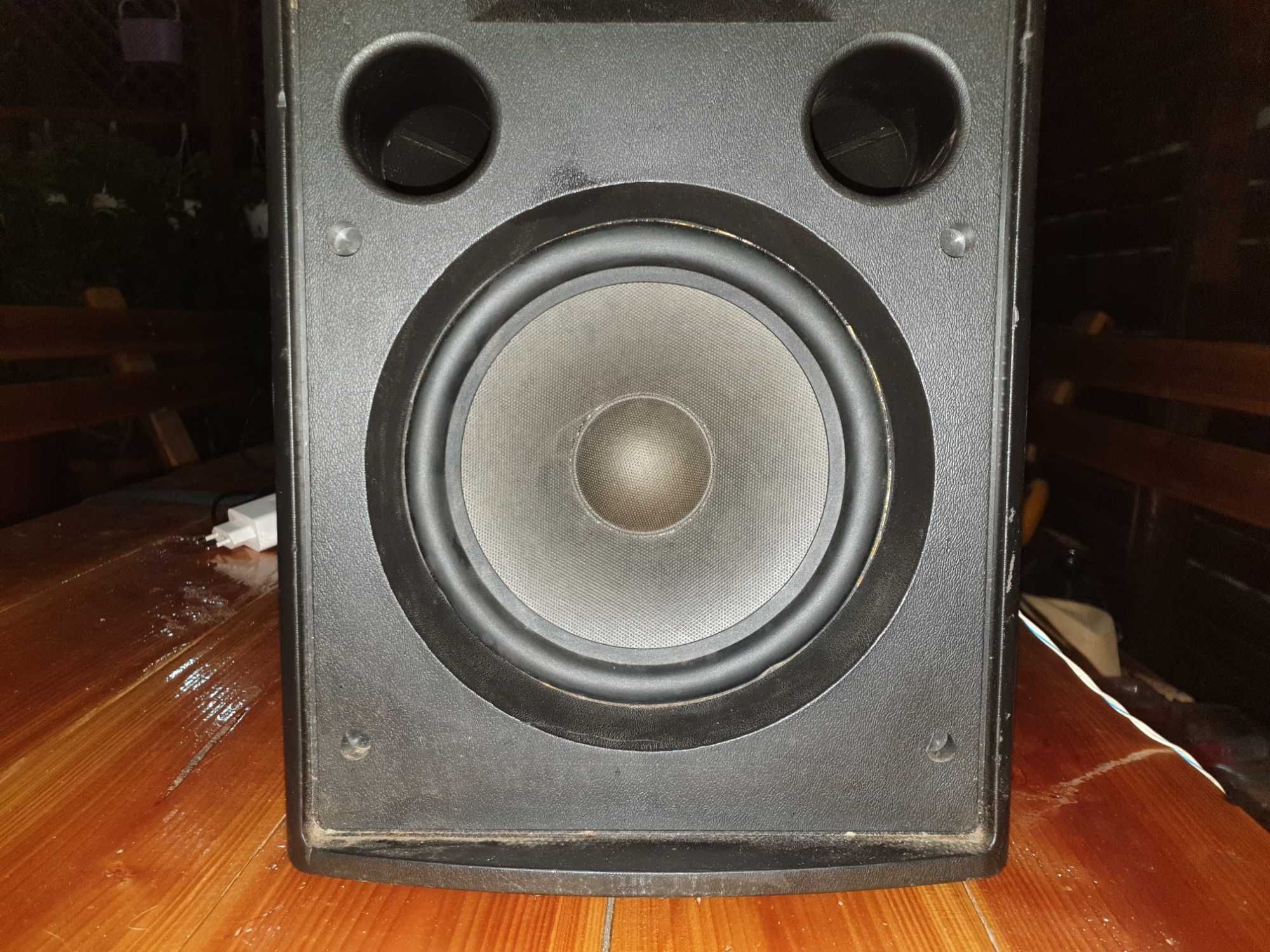 boxa PASIVA 100w