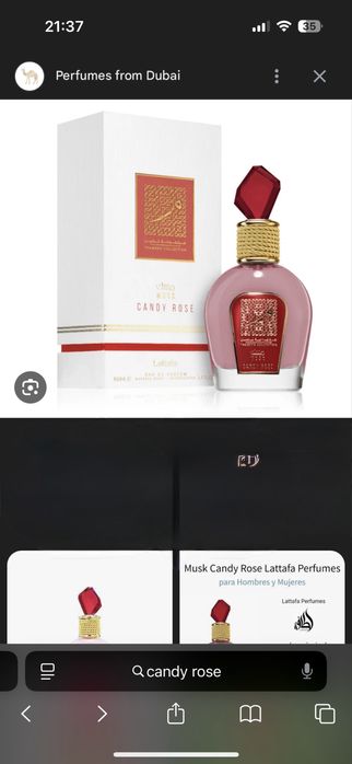 Candy rose,Latafa