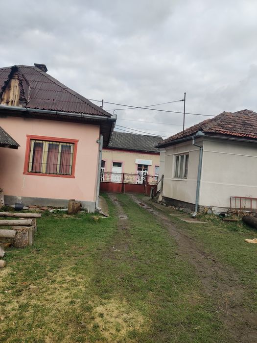 Vand case care au curte comuna