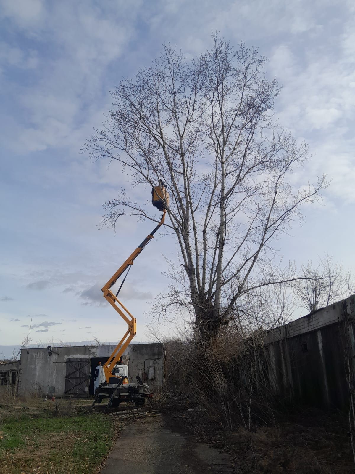Execut săpături, închiriez nacele, demolari