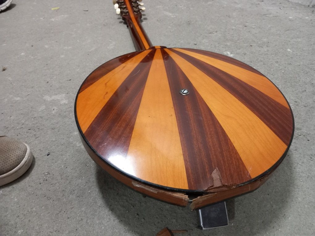 Eko banjo defect rupt