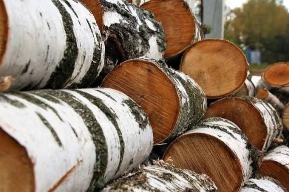 Дрова берёзовые 11 тысяч