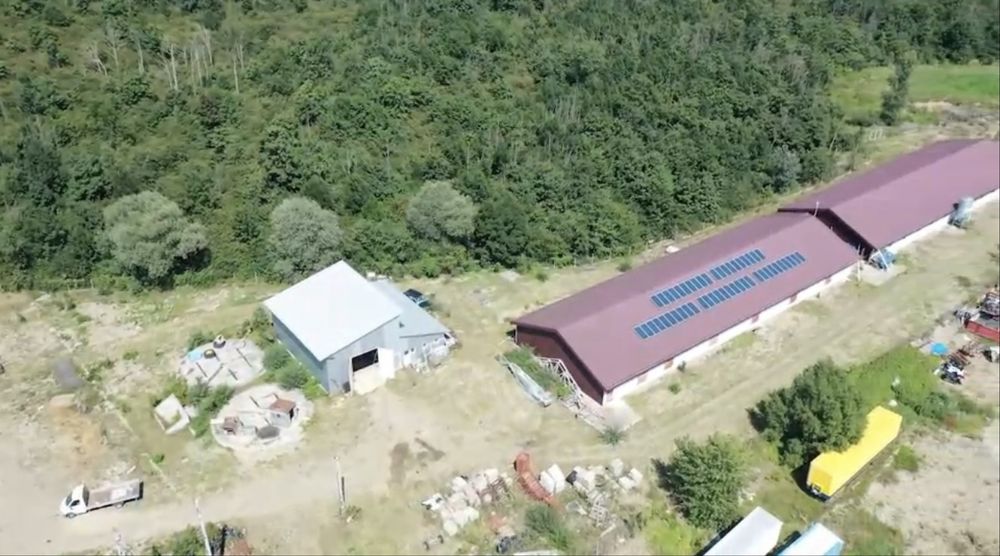 Vând fermă de porcine reproducție + FNC + teren 40.000 mp – Suceava