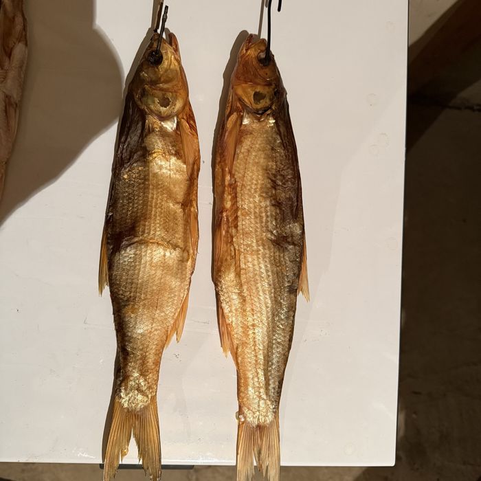 Вяленная рыба сла (кепкен сла балығы)