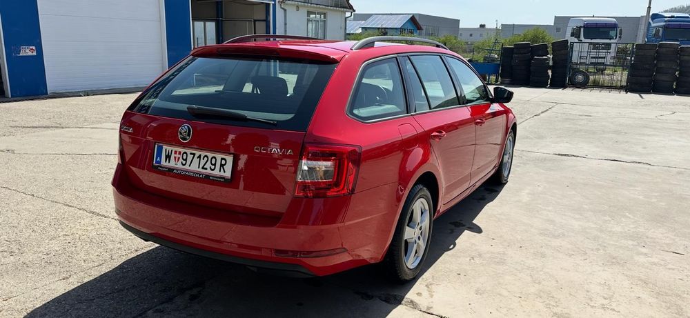Skoda  octavia 2019