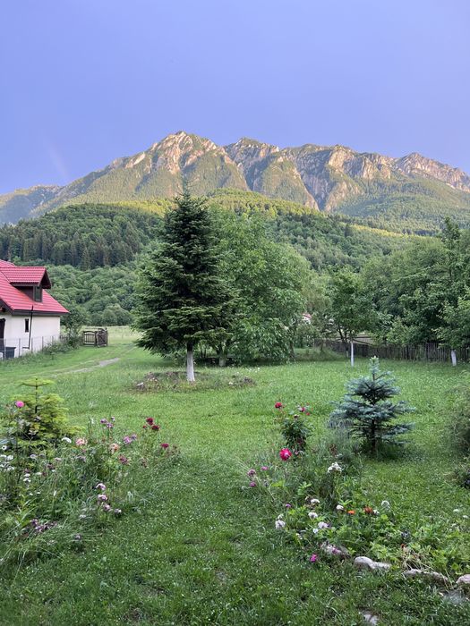 Cazare plaiul foii Casa BenoMagic