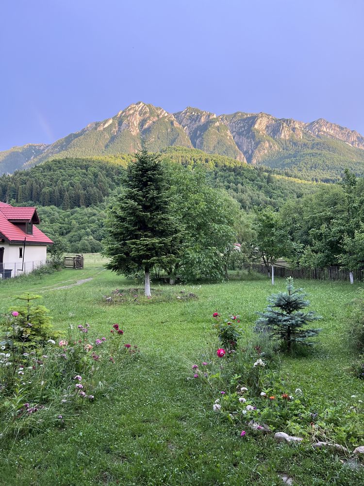 Cazare plaiul foii Casa BenoMagic