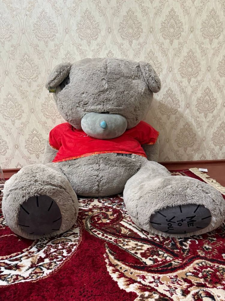 Тедди сотилади срочно