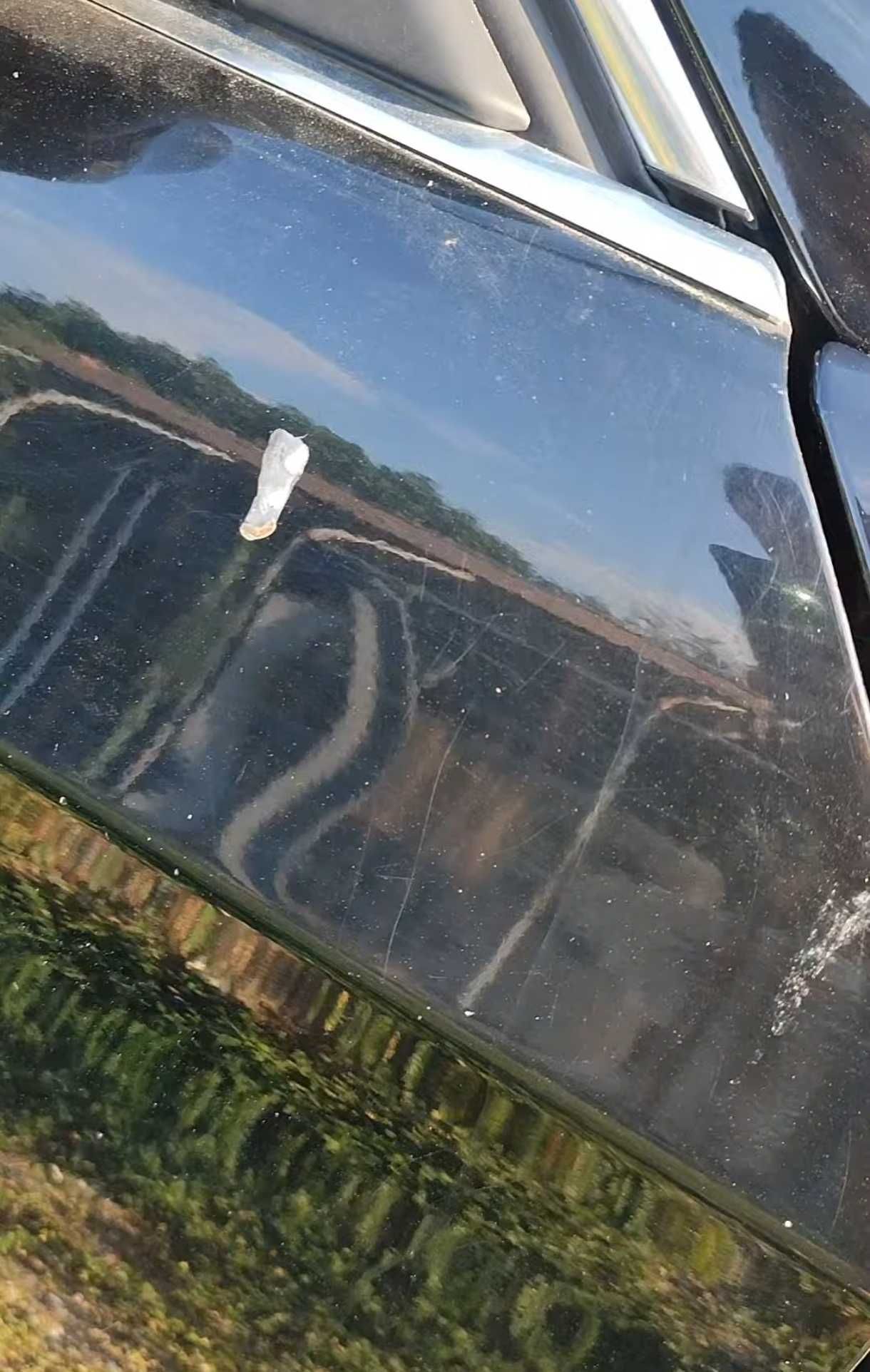 Пастиране и Полиране