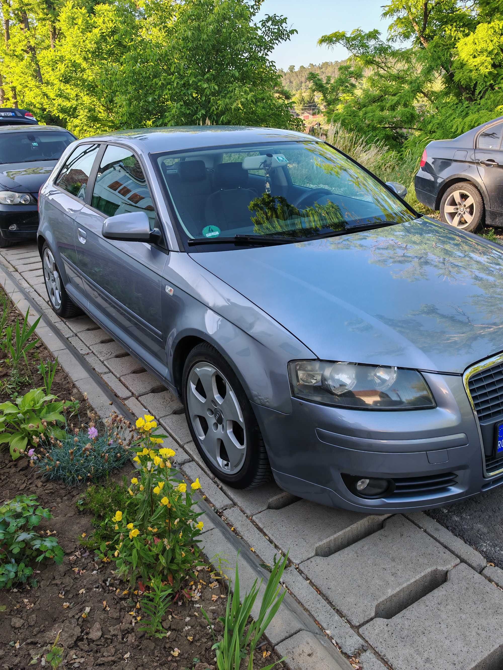 Audi a3 8p 1.9 TDI