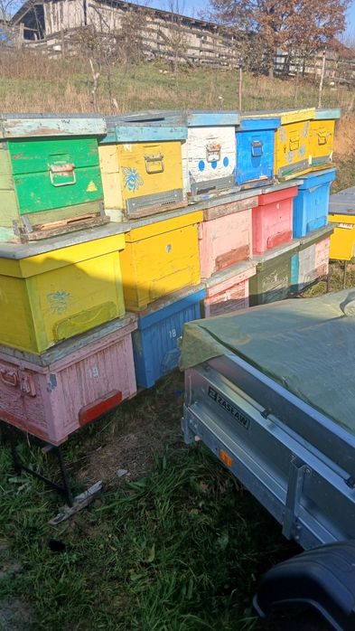 Vand lazi albine folosite