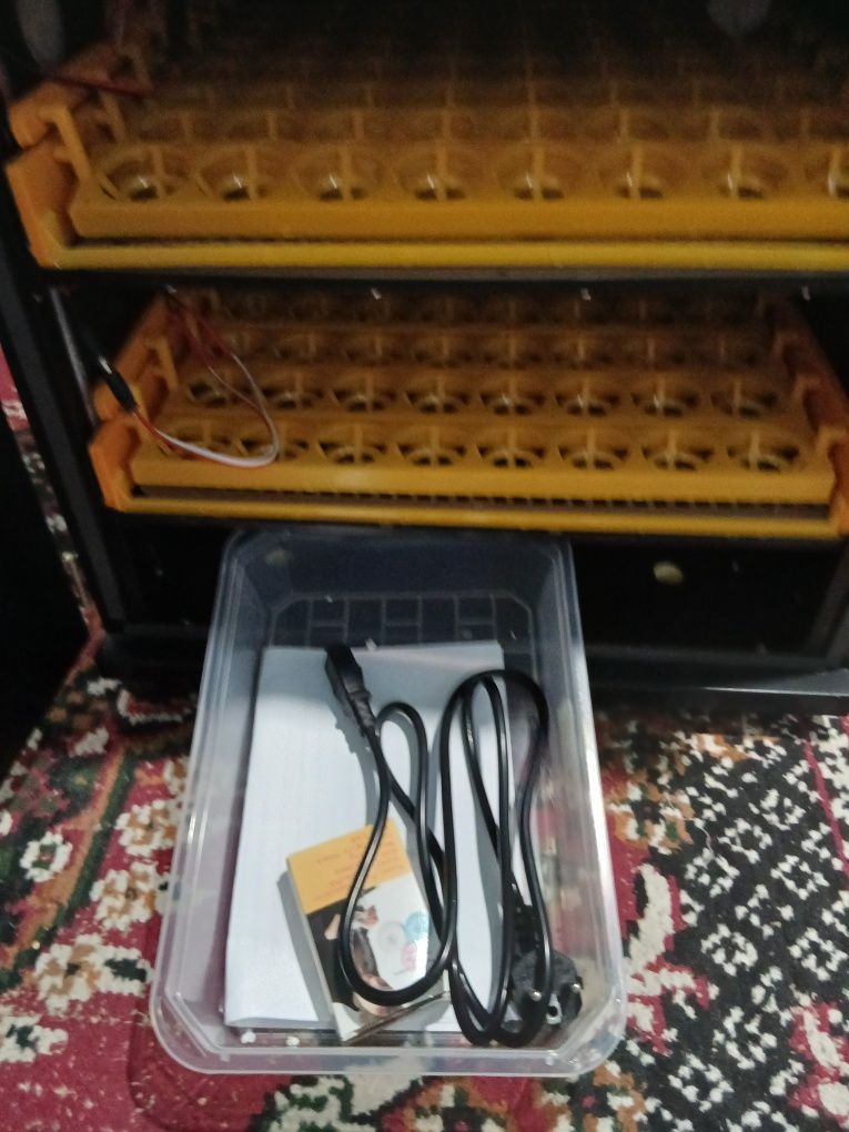 Inkubator original