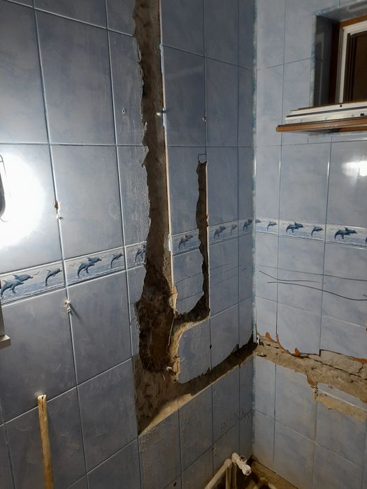 Prestari servicii