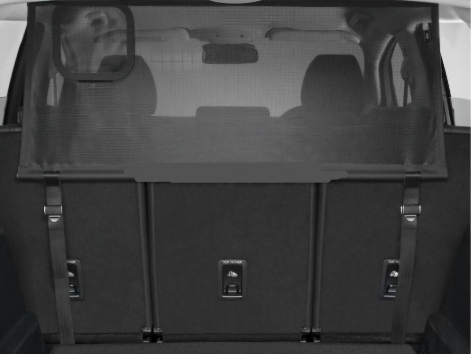 Plasa Separatoare Portbagaj Ford S Max 1, Original Ford  cod 23809