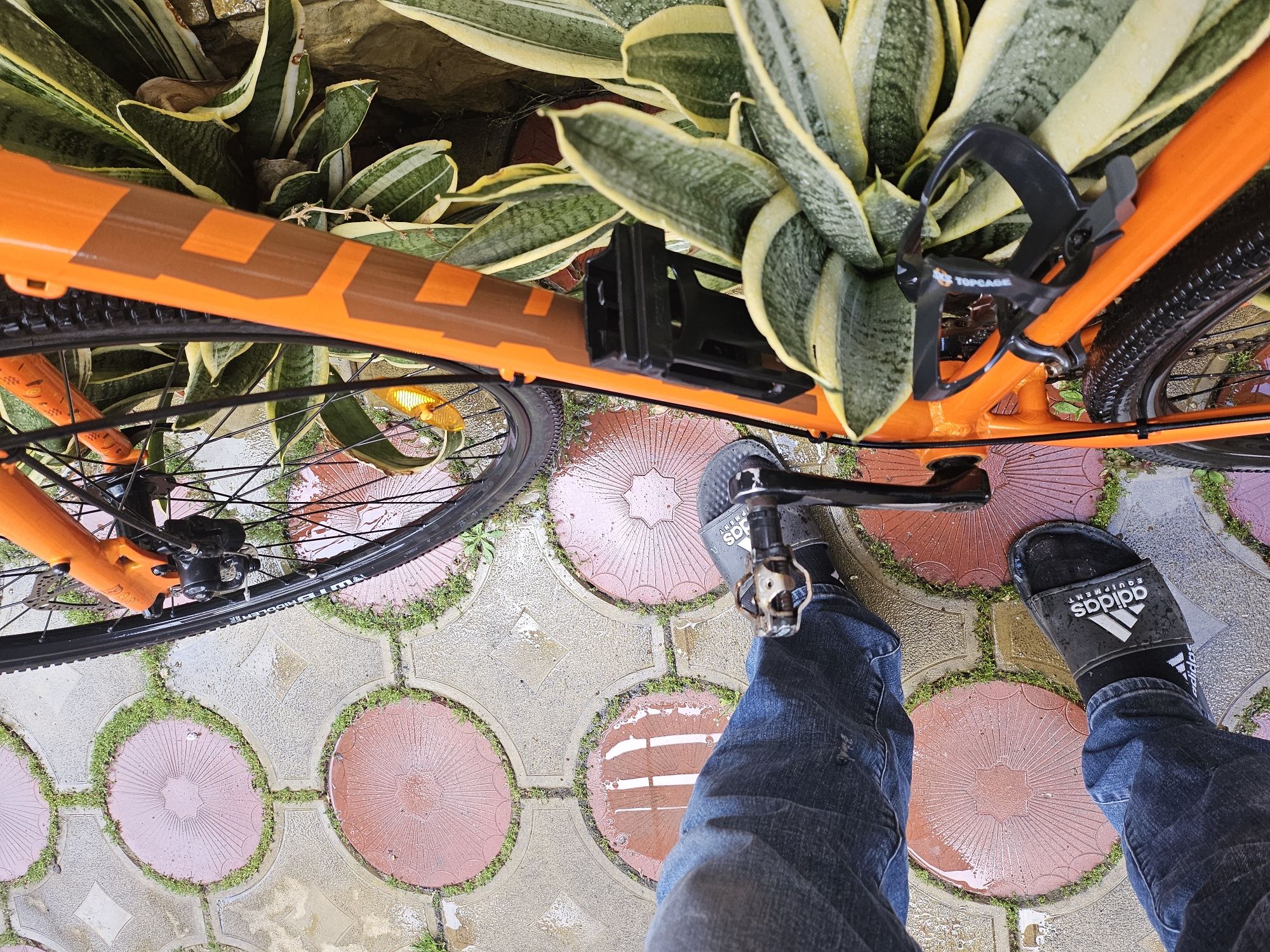 Bicicleta semicursiera