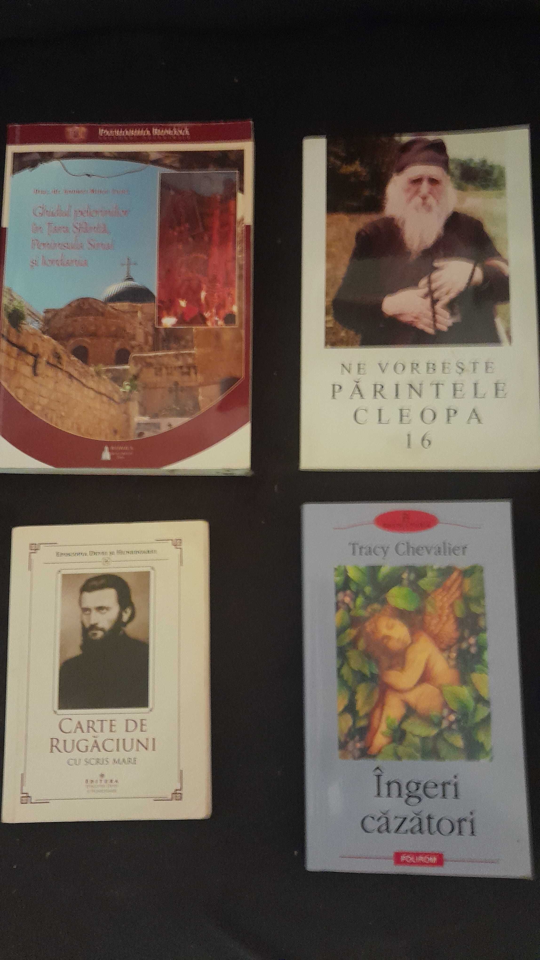 Cãrți diverse deosebite