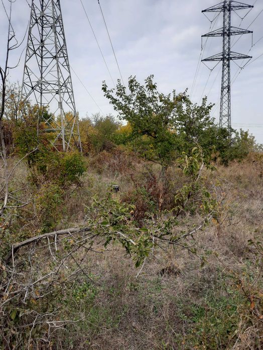 Земеделски имот в град  Плевен