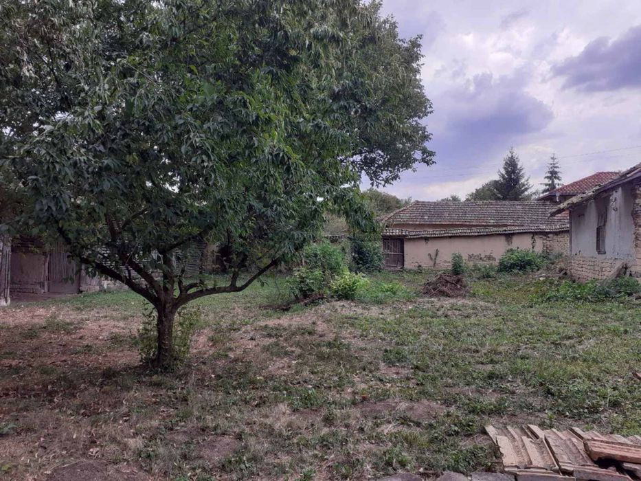 Куща в село Тръстика, 16 км от гр. Разград