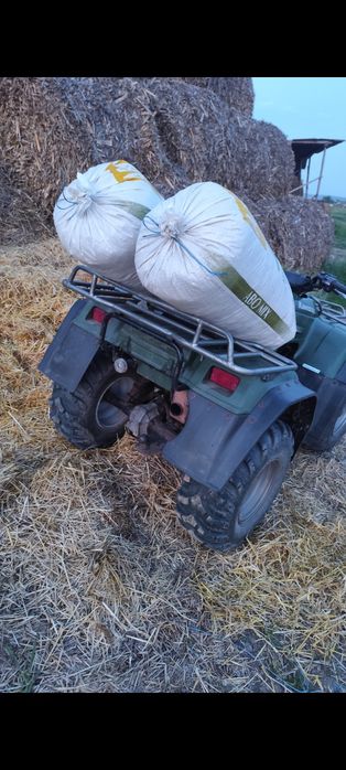 Kawasaki KLF 300 4x4