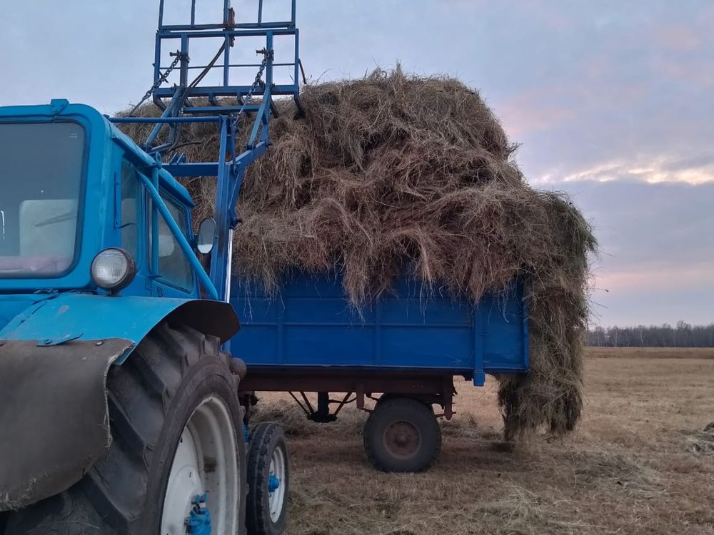 Продам МТЗ 80 в хорошем состоянии