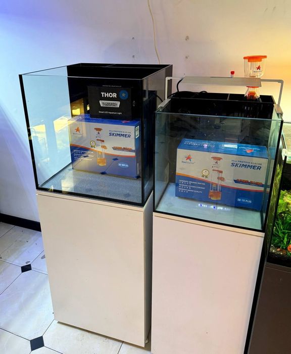 Dengiz akvariumlari tòplami sotiladi