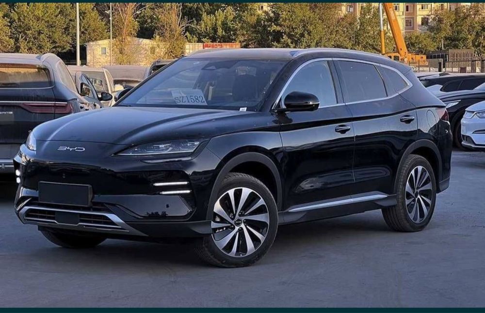 BYD Champion  smart 2025 / 2025