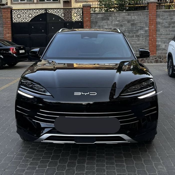 BYD chamipon 150km 2024