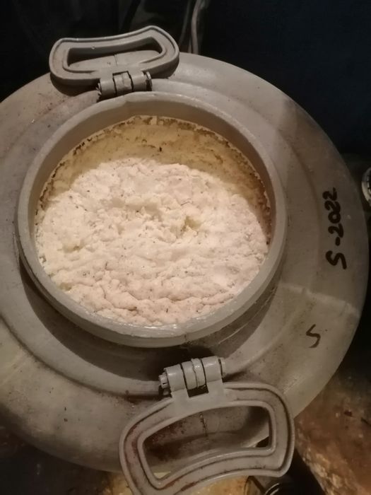 Miere de salcâm din prisaca proprie.