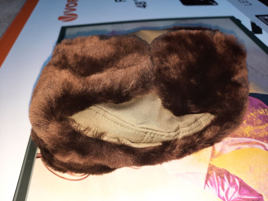 Tinuta fortele terestre