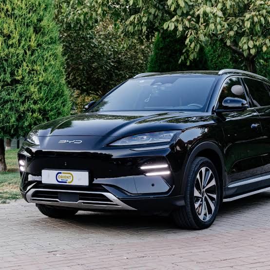 BYD champion Smart