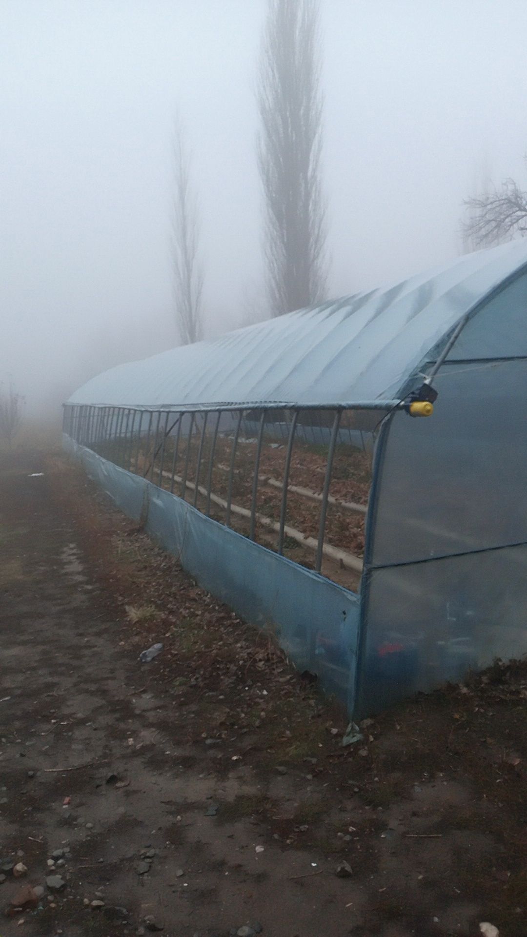 теплица продам  срочно  срочно 700000