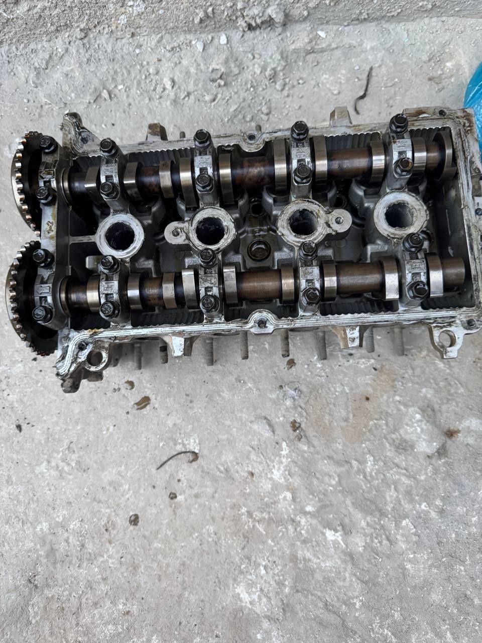 Spark galofka 1 matorli
