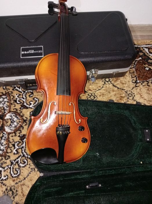 Vand vioară care se poate canta și la rece și electric