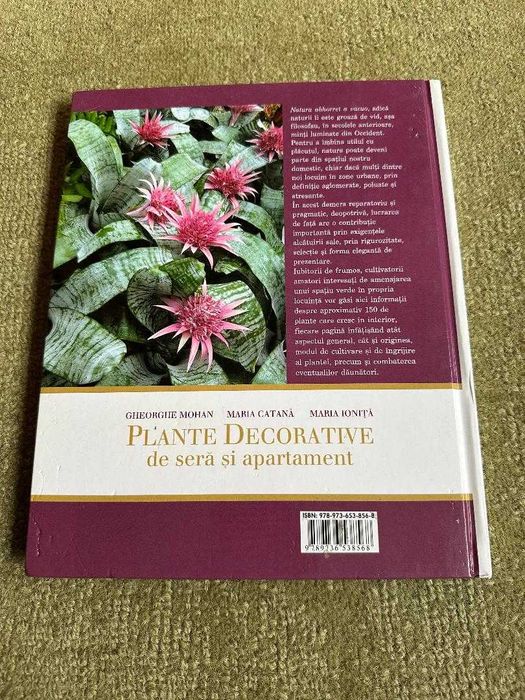 Plante decorative de sera si apartament
