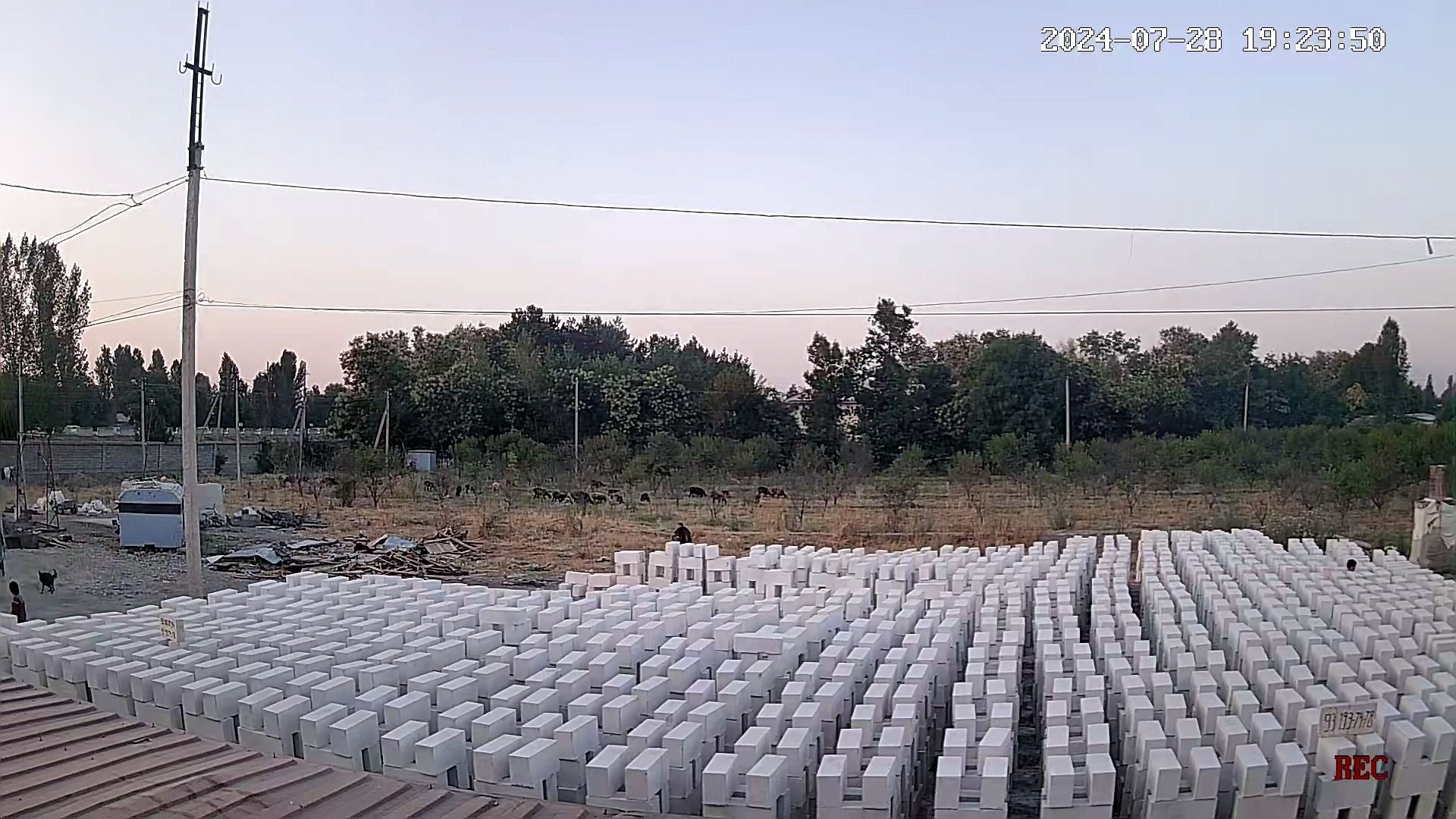 Пєнаблок гипсли.