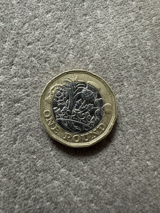 Монета One pound Elizabeth II 2017