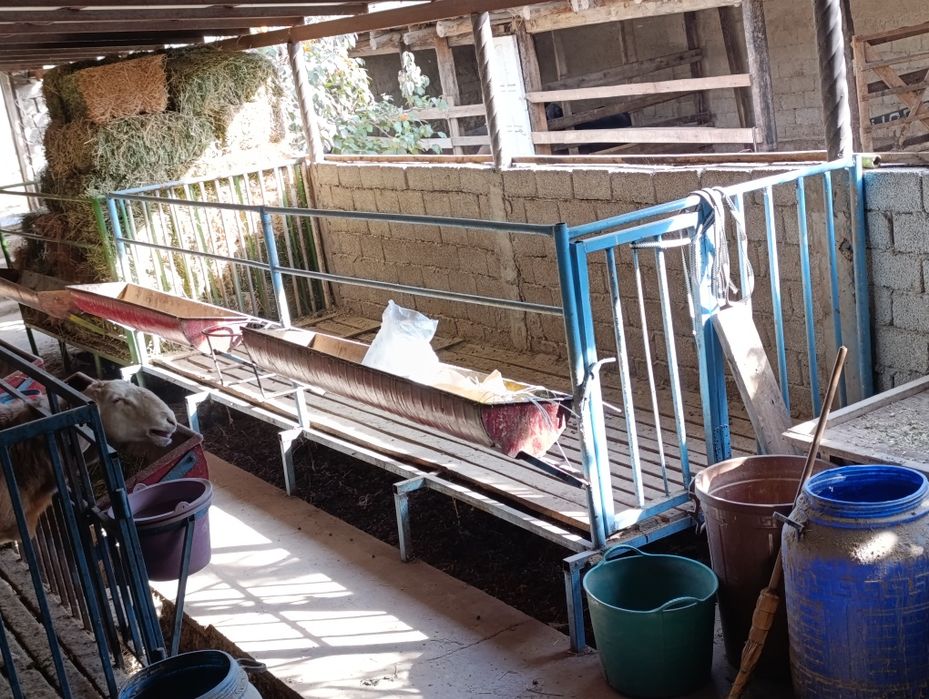 Qoʻyxona sotiladi bu