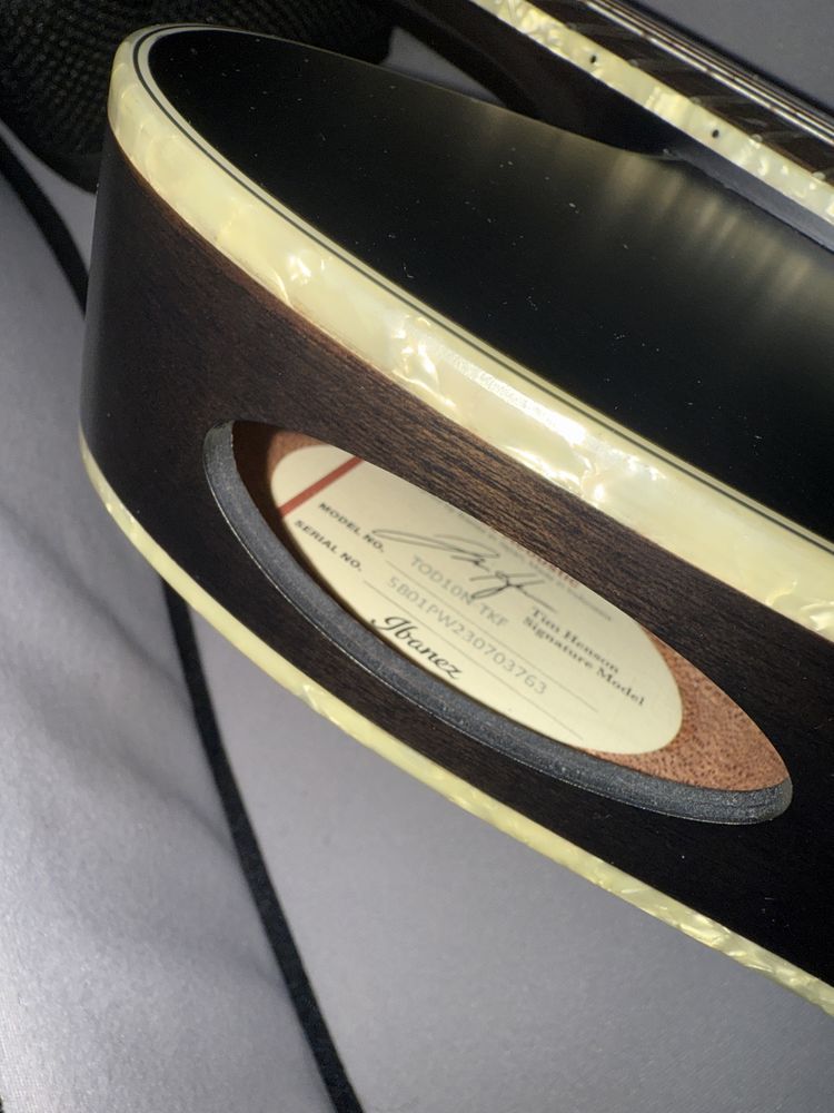 Ibanez TOD 10N с чехлом