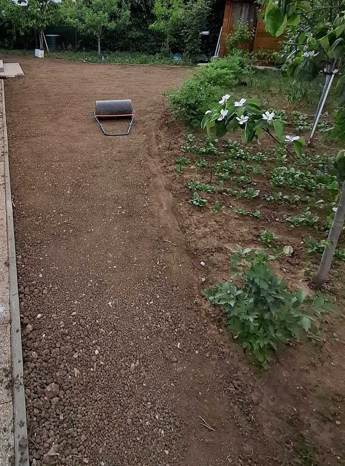 Întreținere grădini, gazon, plante, arbori, piscine - Inginer horticol